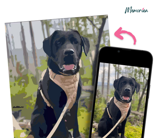 Personalisiertes Malen nach Zahlen Set mit eigenem Foto